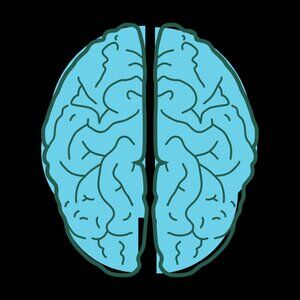 Meet your Posher, brain